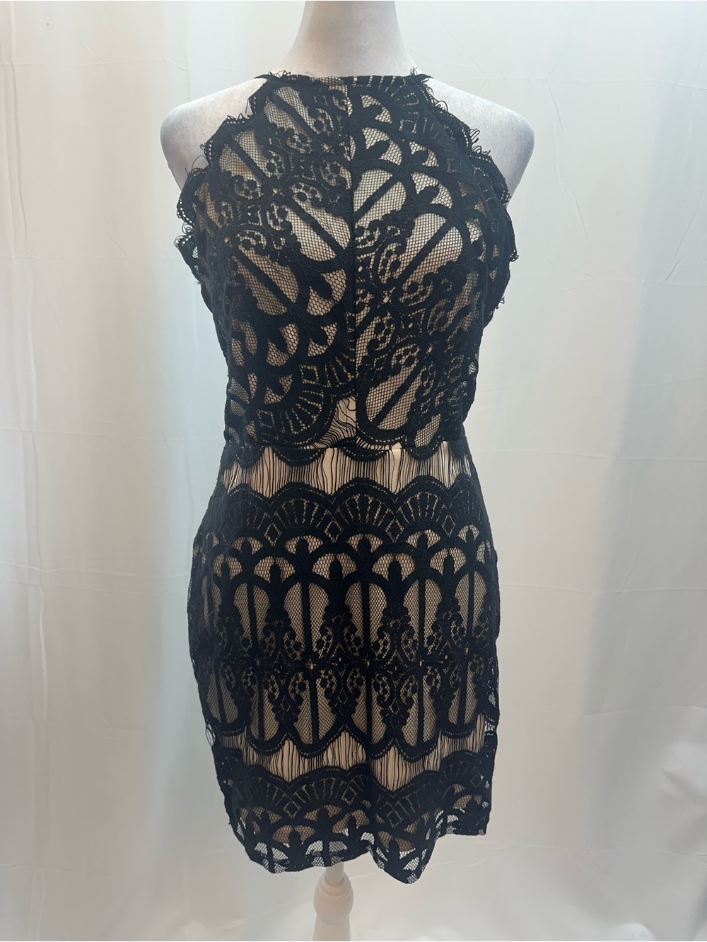 Tobi Black Lace Mini Dress with Nude Underlay M
